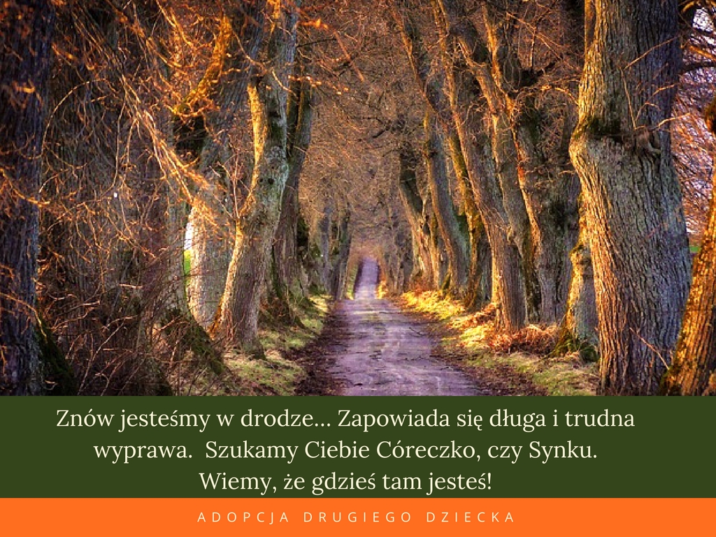 Adopcja drugiego dziecka